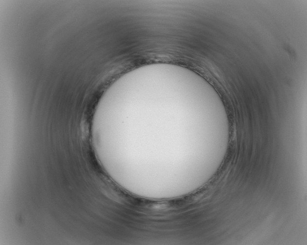 X0000115680173200911120954