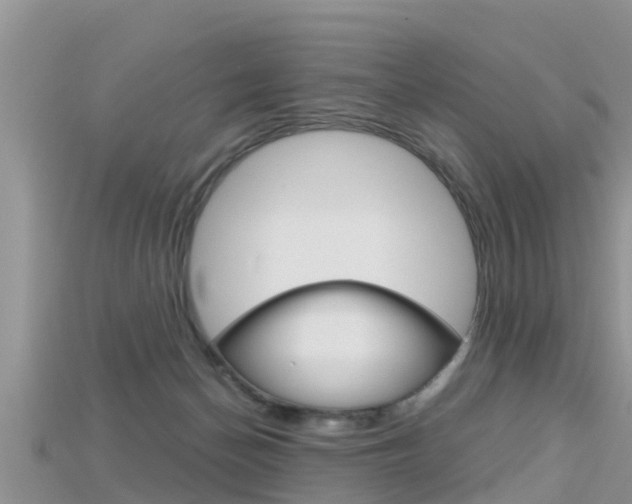 X0000115680174200911120954