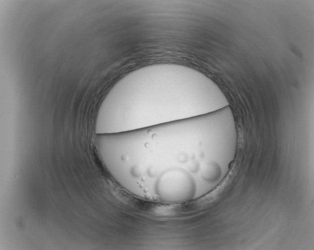 X0000115680178200911120954