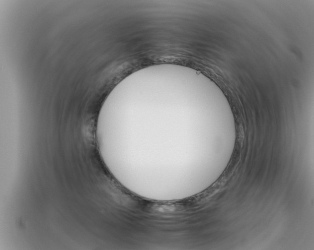 X0000115680181200911120954