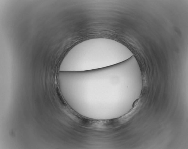 X0000115680182200911120954