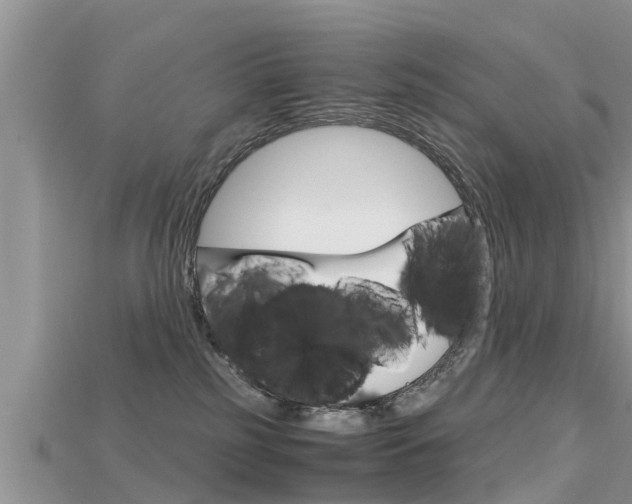 X0000115680185200911120954