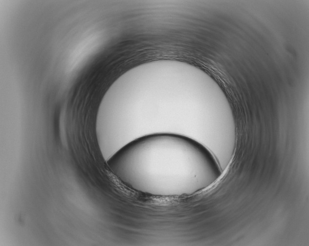 X0000115680190200911120954