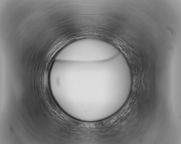 X0000115680194200911120954