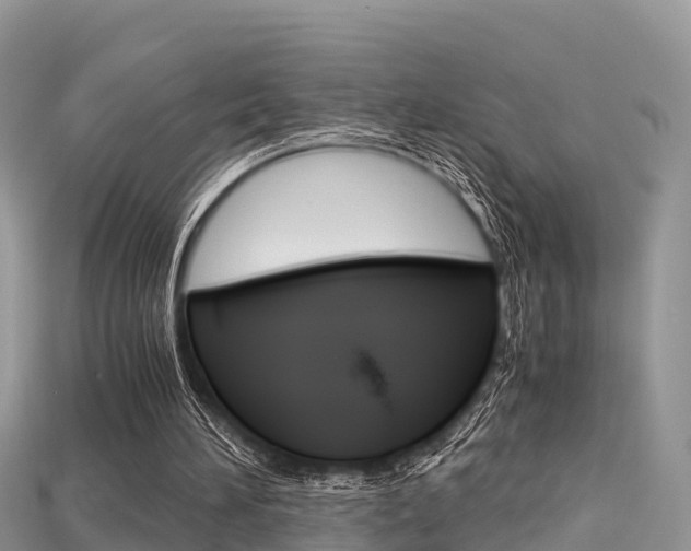 X0000115680196200911120954