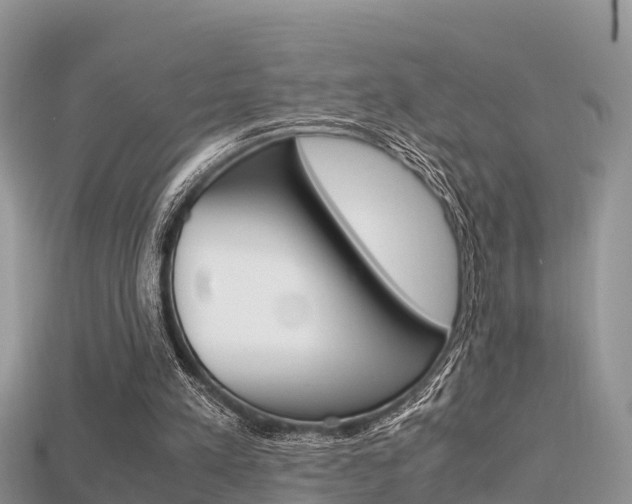 X0000115680197200911120954
