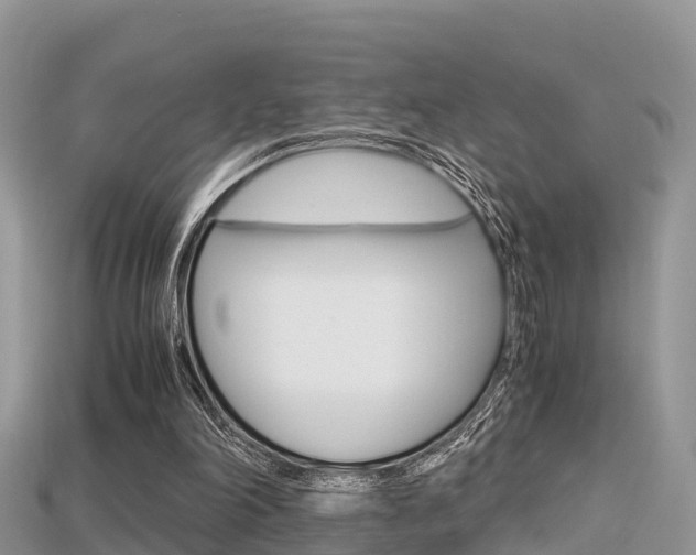 X0000115680198200911120954