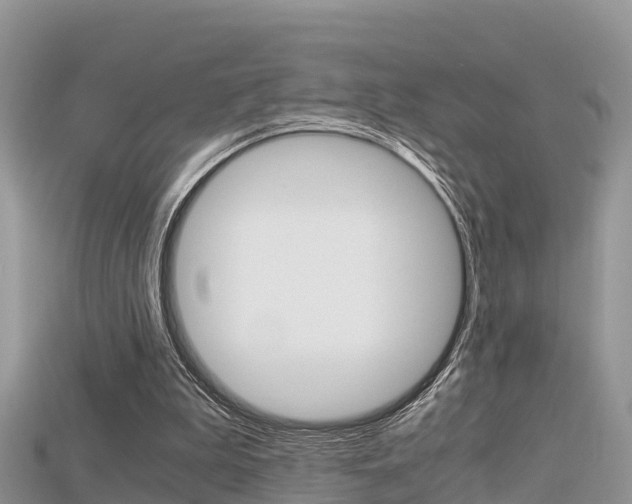 X0000115680199200911120954