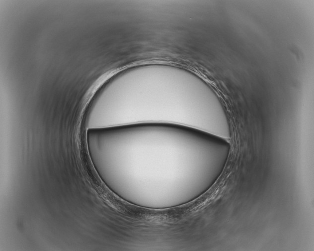 X0000115680200200911120954