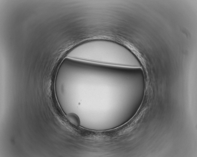 X0000115680201200911120954