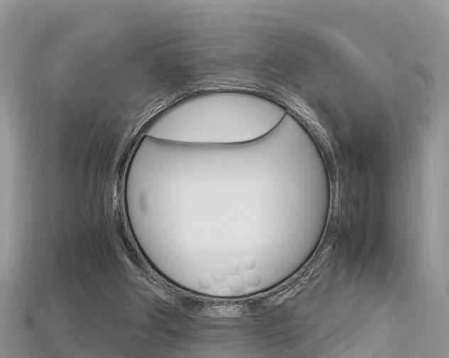 X0000115680202200911120954