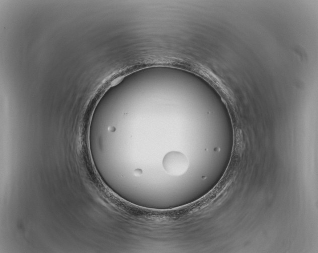 X0000115680203200911120954