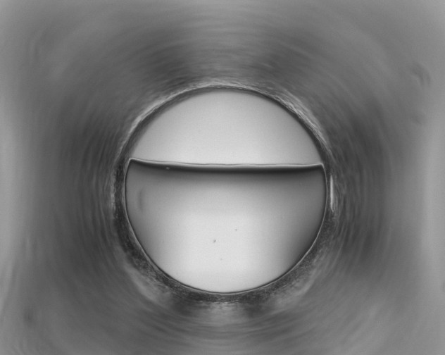 X0000115680204200911120953