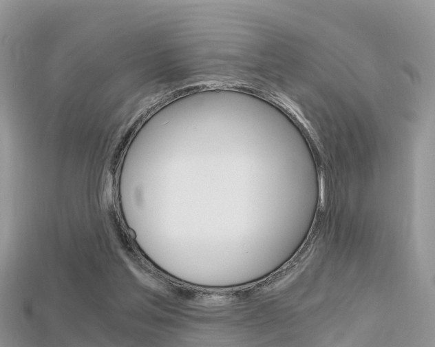 X0000115680205200911120953