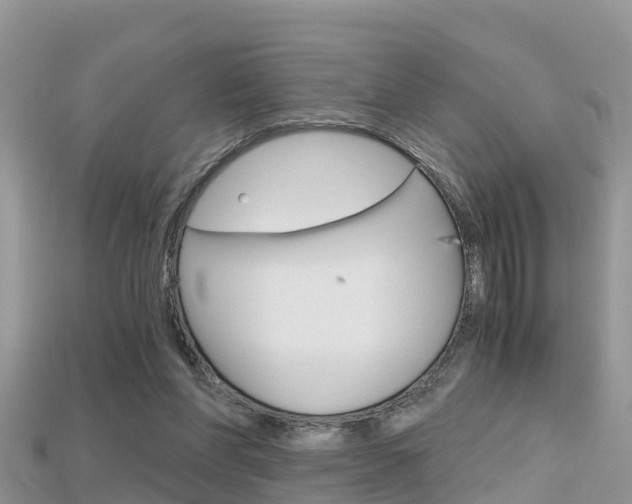 X0000115680206200911120953