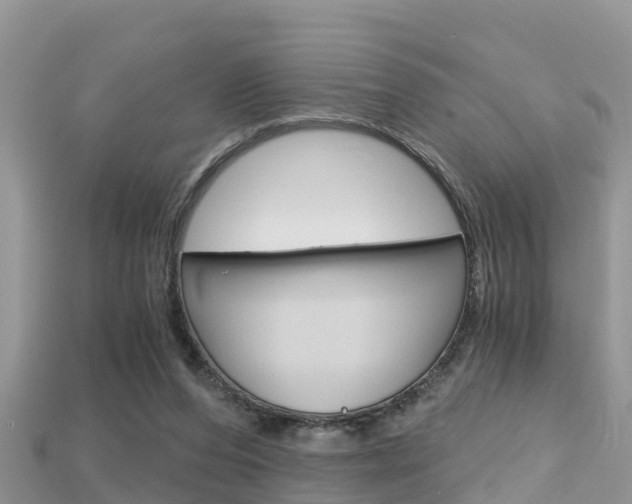 X0000115680208200911120953