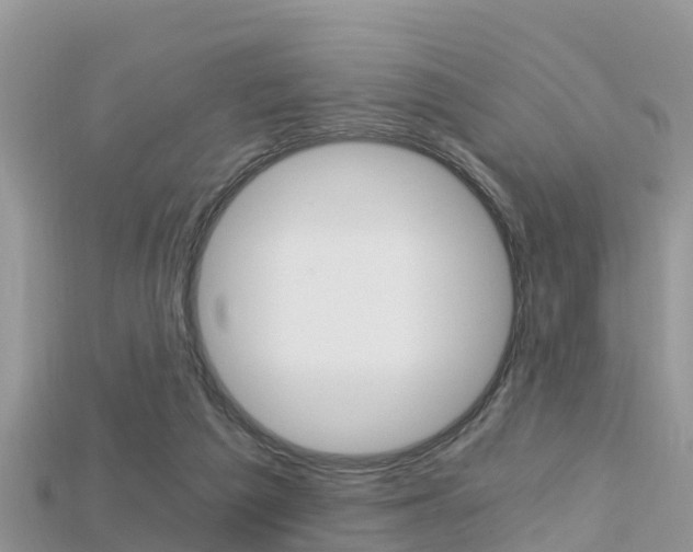 X0000115680209200911120953