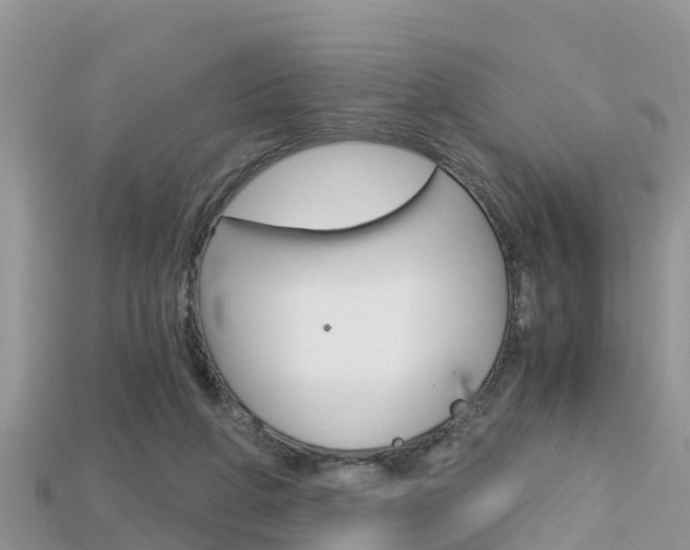 X0000115680210200911120953