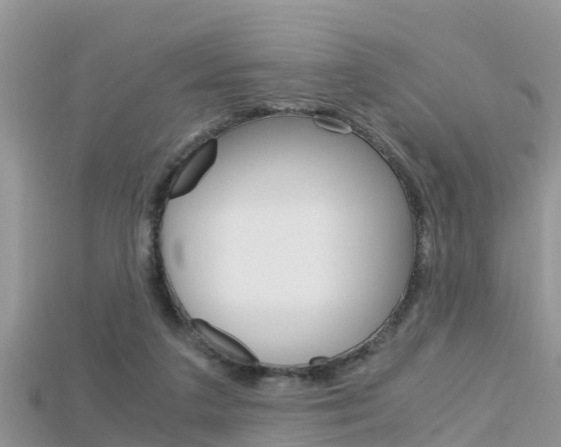 X0000115680211200911120953
