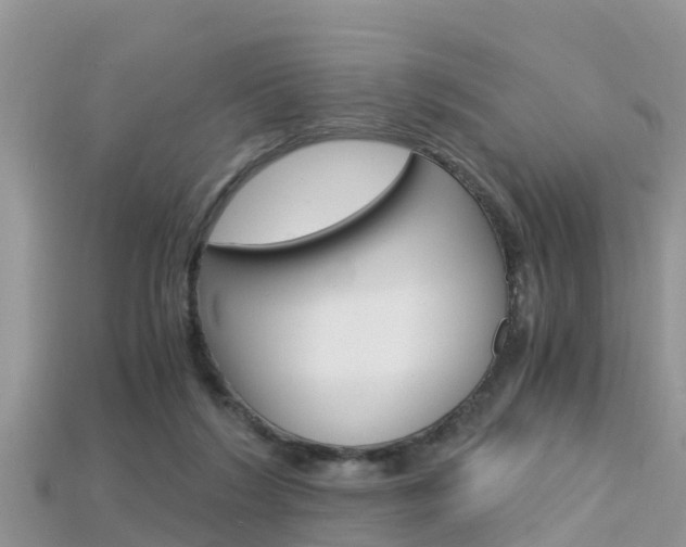 X0000115680212200911120953