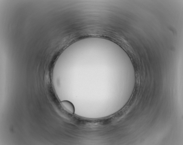 X0000115680213200911120953