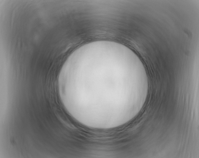 X0000115680215200911120953