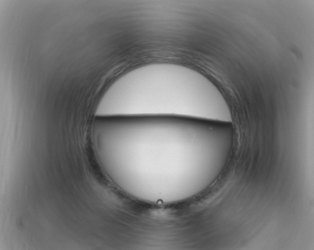 X0000115680216200911120953
