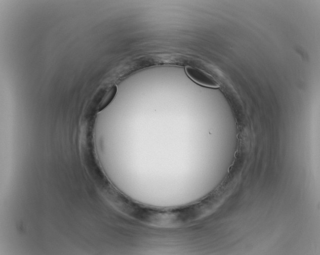 X0000115680217200911120953