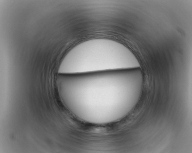 X0000115680220200911120953