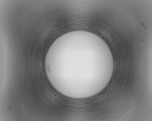 X0000115680221200911120953