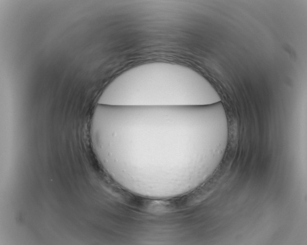 X0000115680222200911120953