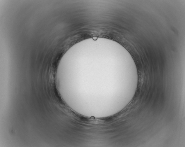 X0000115680226200911120953