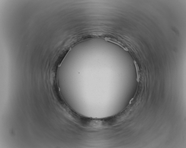 X0000115680227200911120953