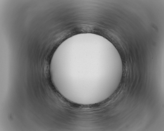 X0000115680228200911120953