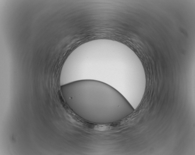 X0000115680231200911120953