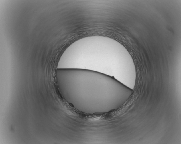 X0000115680235200911120953
