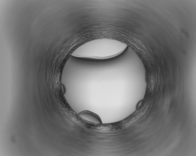 X0000115680236200911120953