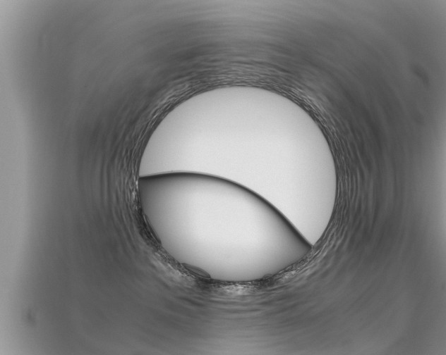 X0000115680237200911120953