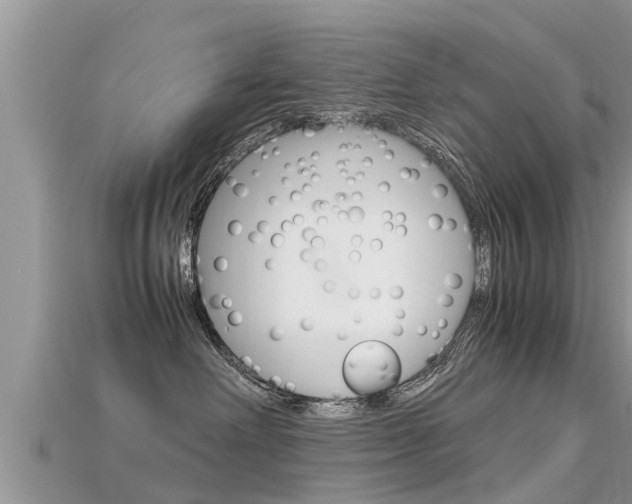 X0000115680238200911120953