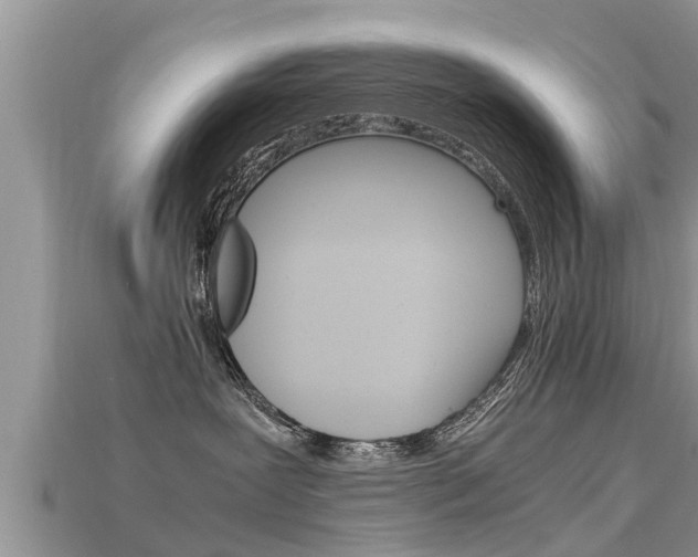 X0000115680239200911120953