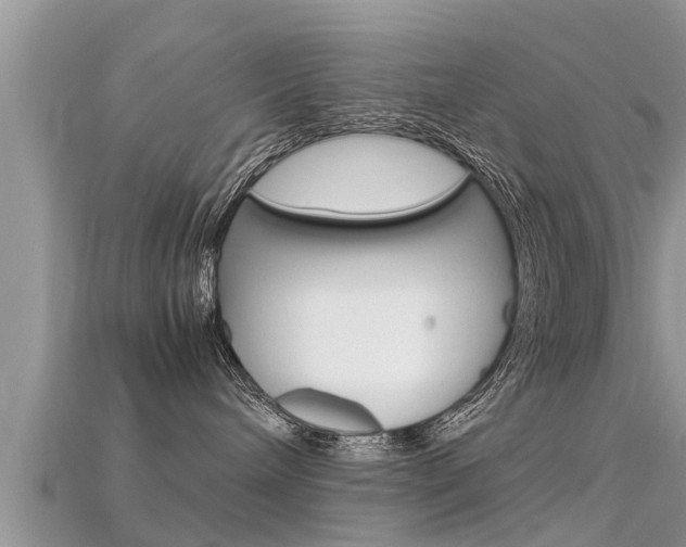X0000115680240200911120953
