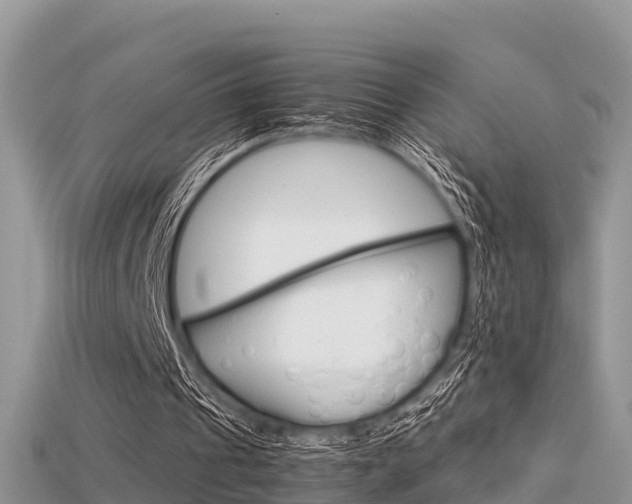 X0000115680241200911120952