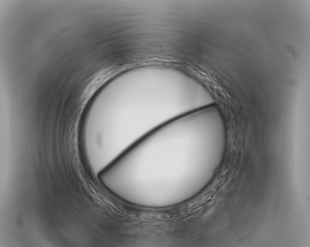 X0000115680242200911120952