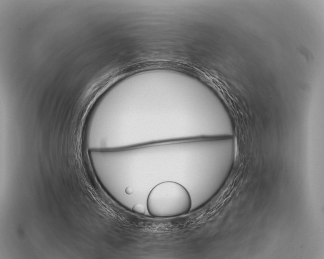X0000115680243200911120952