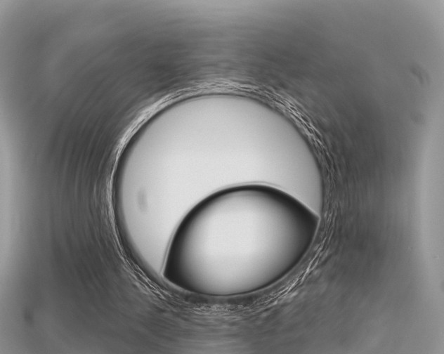 X0000115680244200911120952
