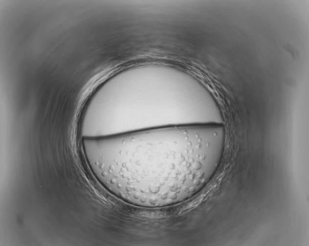 X0000115680245200911120952