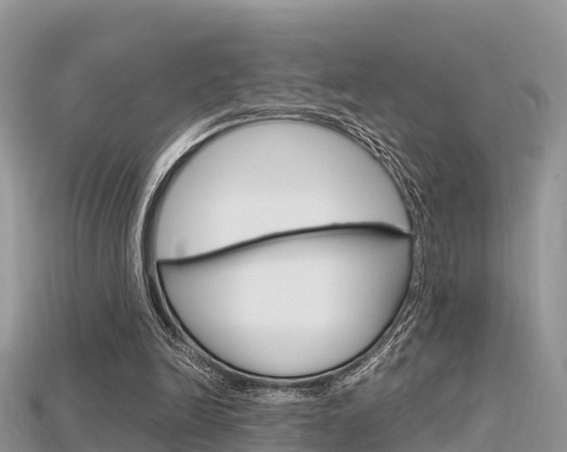 X0000115680246200911120952