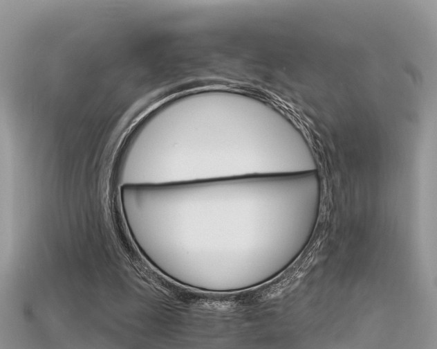 X0000115680247200911120952