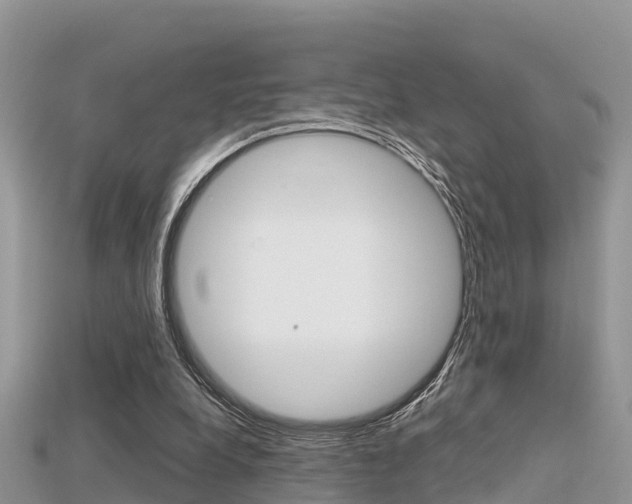 X0000115680248200911120953