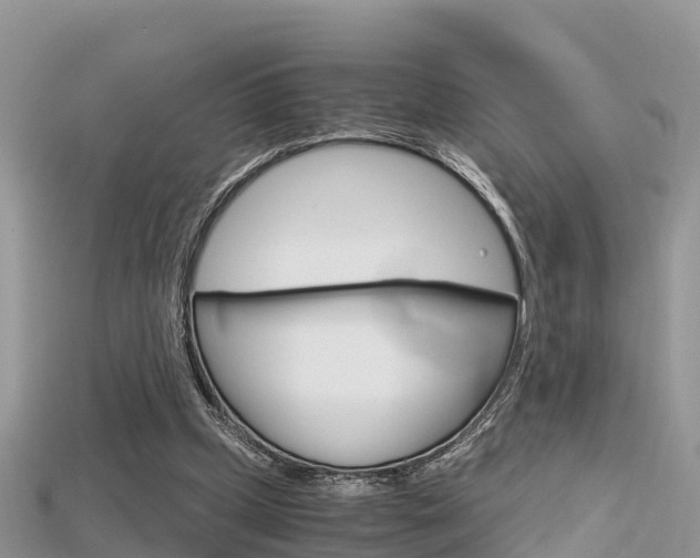 X0000115680249200911120953